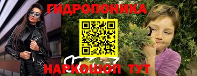 стафф Чебоксары