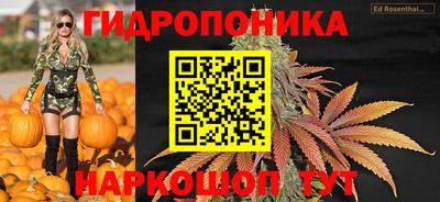 стафф Чебоксары