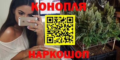 стафф Чебоксары