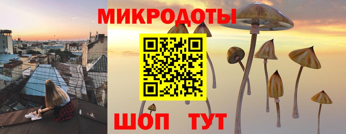 Галлюциногенные грибы ЛСД Курчалой