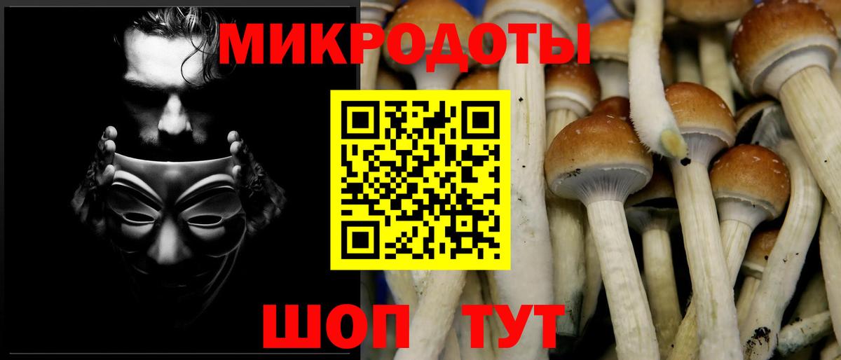 Псилоцибиновые грибы Psilocybine cubensis  Вход с VPN  Курчалой 